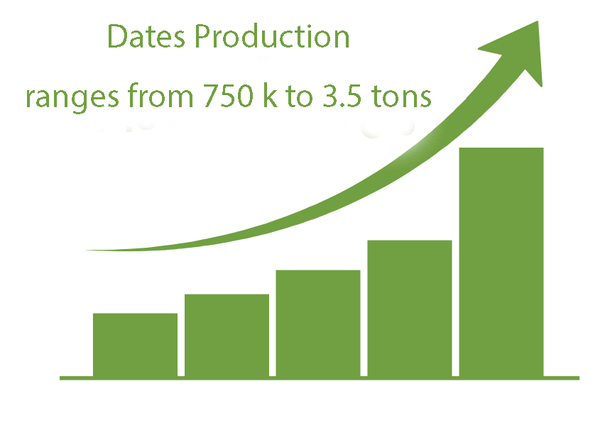 Dates Production